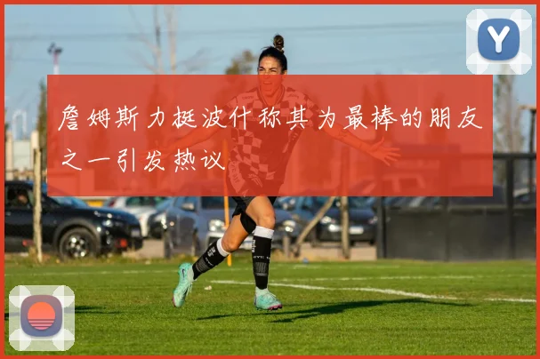 詹姆斯力挺波什称其为最棒的朋友之一引发热议