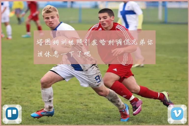 塔图姆训练照引发哈利调侃兄弟你该休息一下了吧