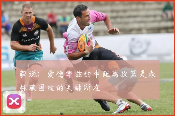 解说：爱德华兹的中距离投篮是森林狼团结的关键所在