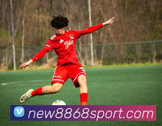 8868体育平台生态图